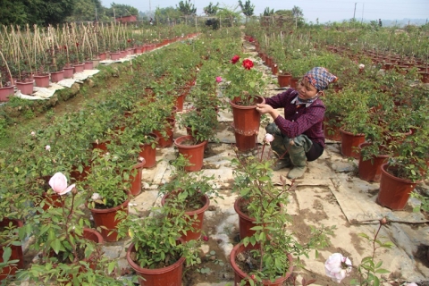 quan tam dao tao nghe cho lao dong nong thon