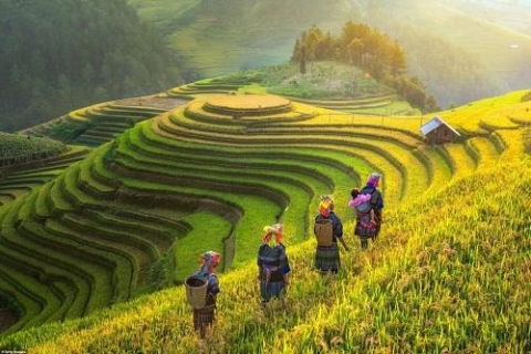 trien lam du lich qua cac mien di san van hoa viet nam nam 2020