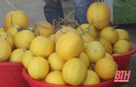 tu troi tay ve que vo chong viet kieu bo tien ty lam nong dan chinh hieu