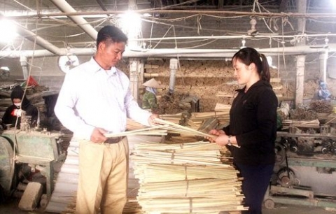thai nguyen trieu phu nguoi dao o mo sat