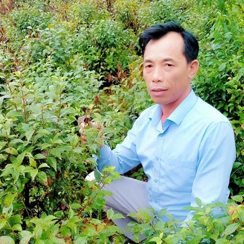 nguoi dau tien dua cay hoa mai trang ve lam giau cho nguoi dan an hoa