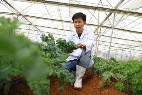 ganh no 7 ty dong vi lu 8x thanh hoa vuc day lam giau nho nong san