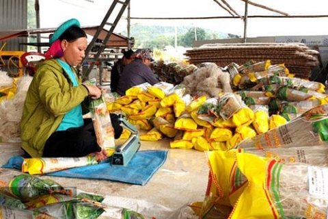 quang ninh mien dong binh lieu thuong hieu ocop noi tieng cap huyen