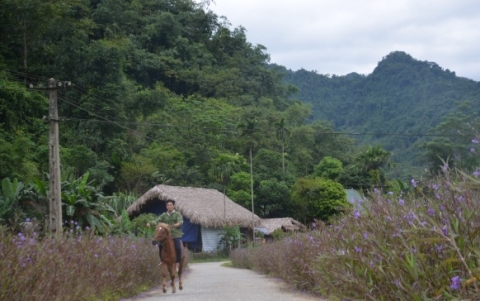 tuyen quang thi dua ve dich nong thon moi nang cao