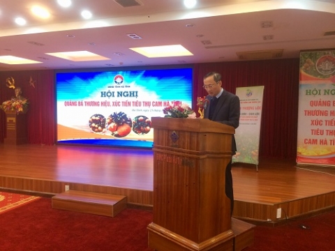 ha tinh trien khai hoi nghi quang ba thuong hieu va xuc tien tieu thu cam