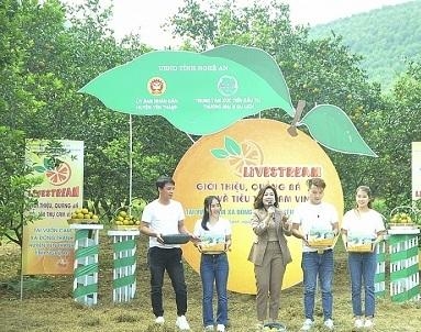 nghe an nong dan thoi 40 ban cam nho livestream