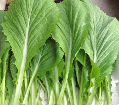 nhung cong dung tuyet voi cua rau cai xanh voi suc khoe