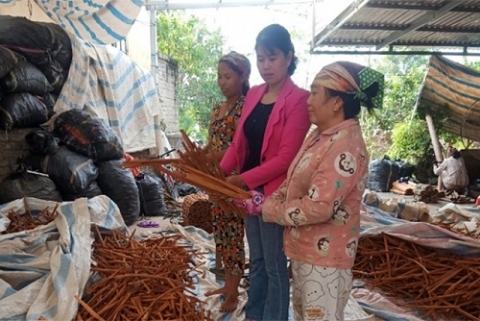 Người phụ nữ nông dân khởi nghiệp thu nhập tiền tỉ