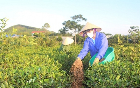 thai nguyen nhieu giai phap giup lang nghe che phat trien ben vung