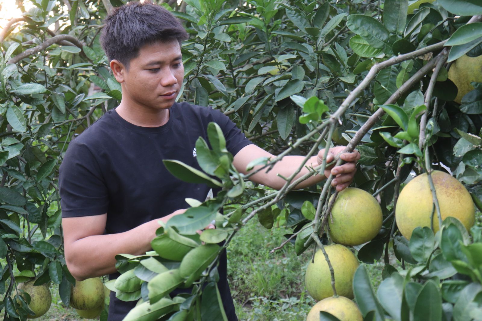 Thanh Hóa: Mô hình trang trại của thanh niên 9X cho doanh thu hàng tỷ đồng mỗi năm