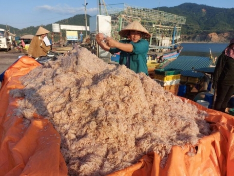 ngu dan ha tinh trung dam ruoc bien thu bac trieu moi dem