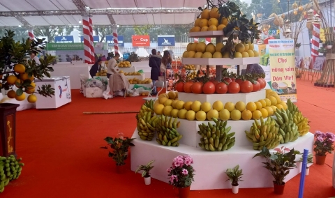Sắp diễn ra Festival Nông sản, sản phẩm OCOP Hà Nội năm 2022