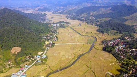 son la phat huy thuong hieu dac san nep tan muong va