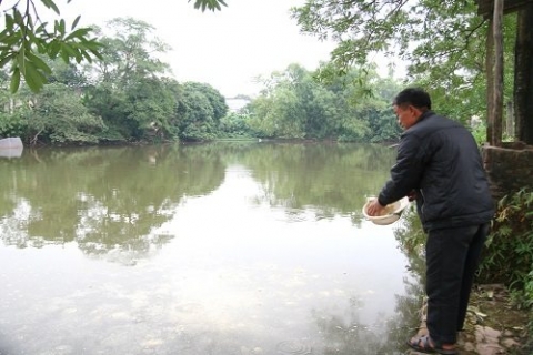 huyen my duc ha noi xa doc tin voi mo hinh chuyen doi co cau cay trong vat nuoi cho thu nhap cao