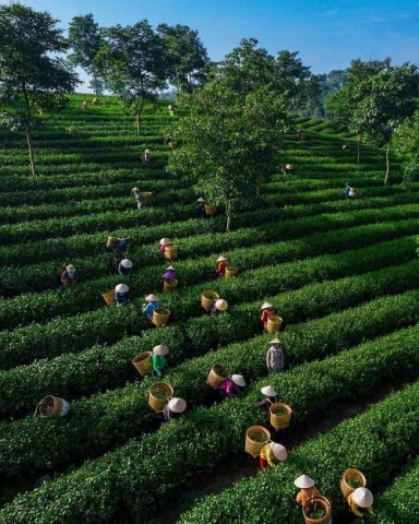 huyen hai ha quang ninh phat trien cac san pham giau tiem nang