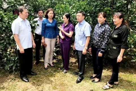 hoi nong dan tinh quang ninh nong dan la chu the cua ocop