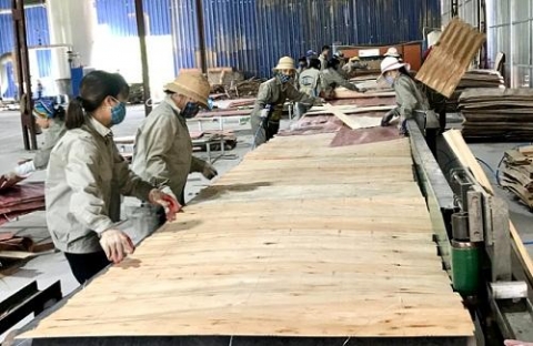 tuyen quang son duong no luc giai quyet viec lam cho nguoi lao dong