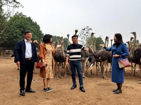 chuong trinh ocop ha noi thao go kho khan cho co so tai huyen ba vi va tp son tay