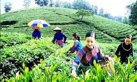 thai nguyen nong thon moi phat trien ben vung