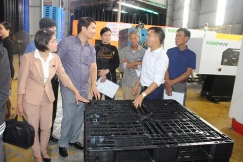 thai binh ho tro doanh nghiep ung dung may moc trong san xuat nhua pallet tu dong