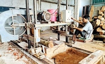 thai binh cua be be khong bang nghe trong tay