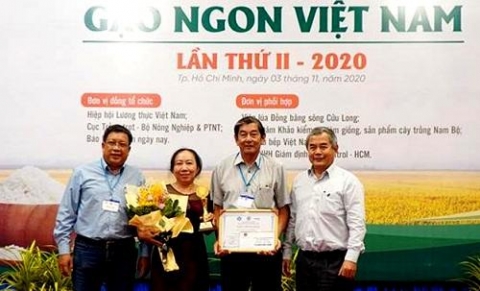 gao st25 gao ngon nhat viet nam