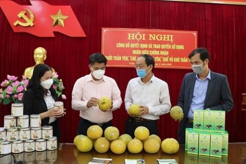 cap giay chung nhan quyen su dung nhan hieu buoi tran yen che xanh tran yen va que vo kho tran yen