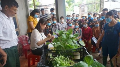 mot so giai phap dao tao nghe cho lao dong nong thon tinh thai nguyen