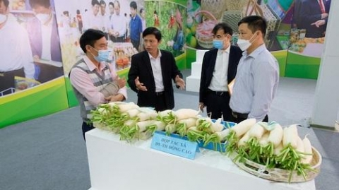 ha noi da dang phuong thuc xuc tien thuong mai san pham ocop