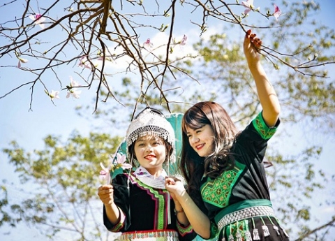to chuc le hoi hoa ban va cuoc thi nguoi dep hoa ban nam 2022 tai tinh dien bien