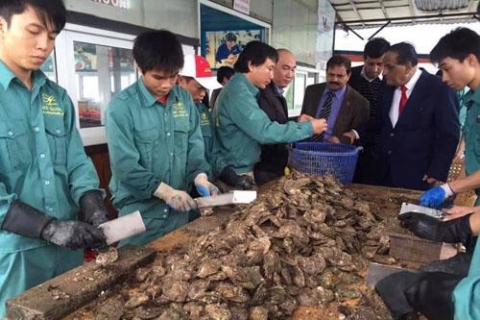 quang ninh ngoc trai ha long cau chuyen ocop 5 sao