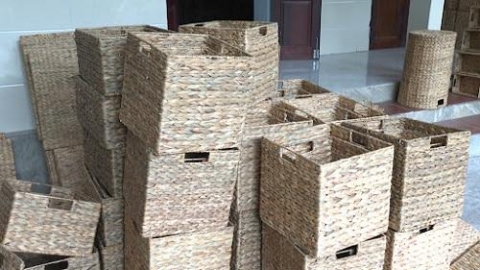 thai binh phu nu xa minh phu phat trien nghe dan beo tay xuat khau