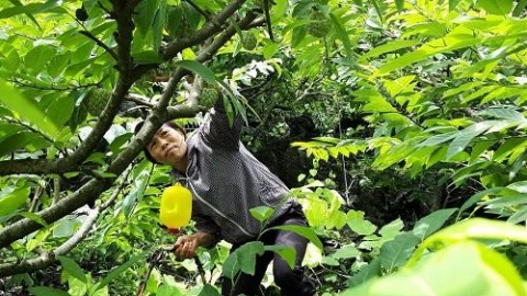 lang son cach xay dung san pham ocop o chi lang