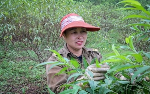 troi ret dam nguoi trong dao o ha tinh phan khoi