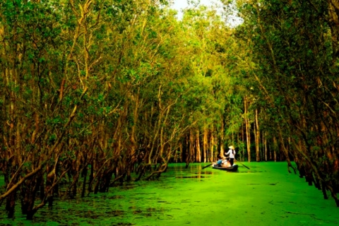 an giang lac buoc giua rung tram tra su