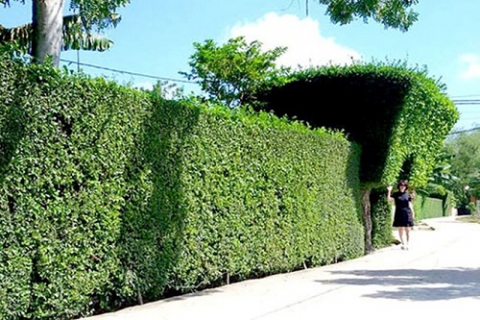 ha tinh xa cam thach ve dich nong thon moi truoc thoi han duoc thuong mot ty dong