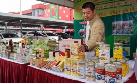 Khai mạc và phát động 