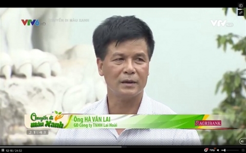 hong nam tu hao nghe lam long nhan va hat sen tai hung yen