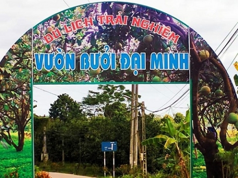 buoi dai minh dat tieu chuan ocop 3 sao