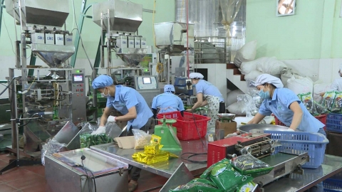 Quảng Ninh có 1.009 cơ sở nông, lâm, thủy sản được cấp chứng nhận đủ điều kiện ATTP