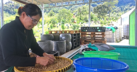 Người trẻ với hoài bão đem cà phê sạch tới người tiêu dùng