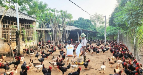 nha nong vao vu san xuat lon nhat nam