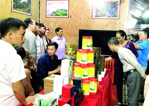 “Tiếp sức” phát triển công nghiệp nông thôn
