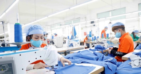 Nhiều lao động chưa khai thác tối đa quyền được hỗ trợ đào tạo nghề khi mất việc làm