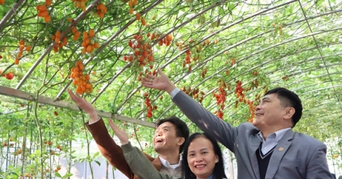 ha noi hoan thanh nhiem vu xay dung nong thon moi cap thanh pho thay doi can ban khu vuc nong thon thu do