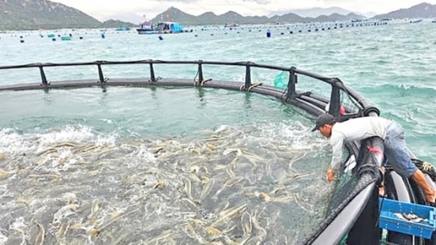 Sản xuất nông, lâm, thủy sản tăng trưởng trong quý I