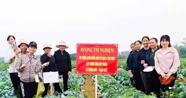 Chính sách bảo vệ môi trường trong nông nghiệp: Hướng tới mô hình xanh, an toàn, bền vững