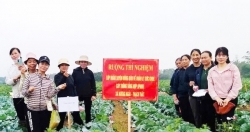 Chính sách bảo vệ môi trường trong nông nghiệp: Hướng tới mô hình xanh, an toàn, bền vững
