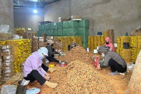 tin hieu vui tu xuat khau