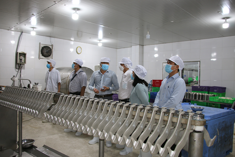 Chương trình khuyến công quốc gia góp phần phát triển ngành công nghiệp tỉnh Chương trình khuyến công quốc gia góp phần phát triển ngành công nghiệp tỉnh